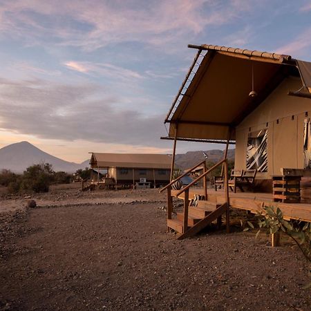 Africa Safari Lake Natron Mtowabaga Exteriör bild