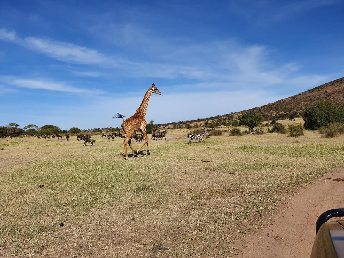 Africa Safari Lake Natron Mtowabaga Exteriör bild