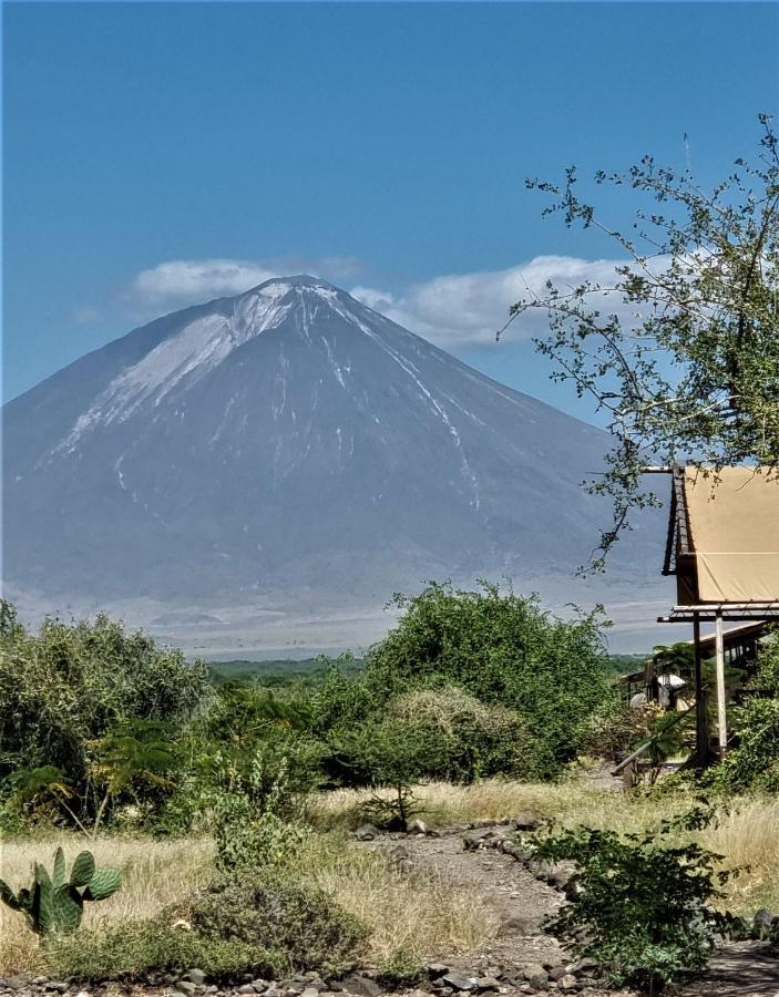 Africa Safari Lake Natron Mtowabaga Exteriör bild